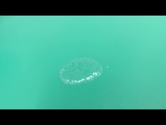 Liquid Ortho Chloro Benzaldehyde CAS 89-98-5