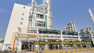 Parachloorbenzaldehyde-Changzhou Xindong Chemical Industry Development Co., Ltd.