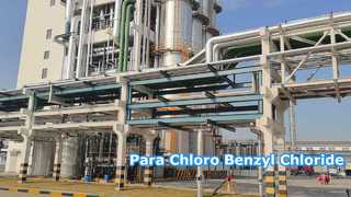 Parachloorbenzylchloride - Changzhou Xindong Chemical Industry Development Co., Ltd.
